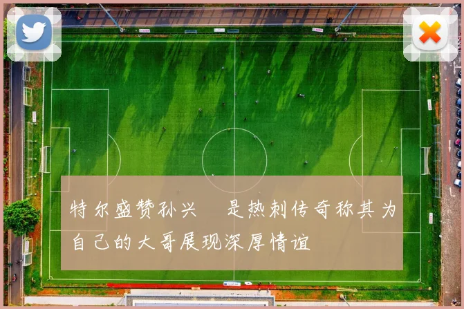特尔盛赞孙兴慜是热刺传奇称其为自己的大哥展现深厚情谊